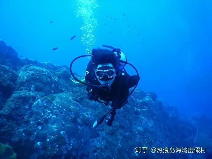 海底世界填颜色4